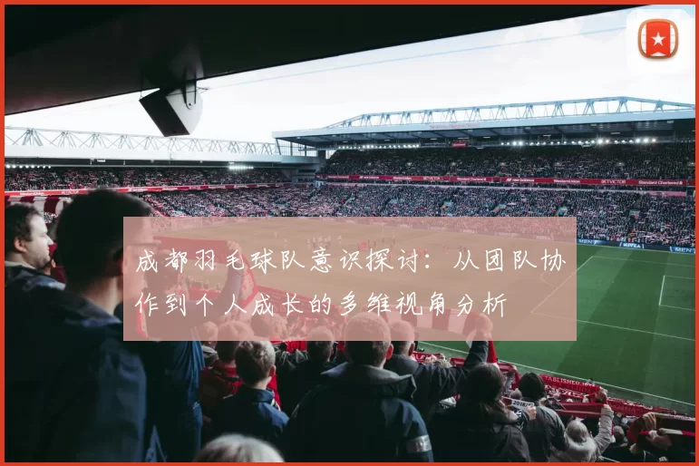 成都羽毛球队意识探讨：从团队协作到个人成长的多维视角分析
