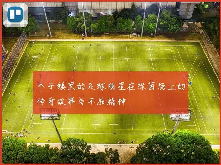个子矮黑的足球明星在绿茵场上的传奇故事与不屈精神