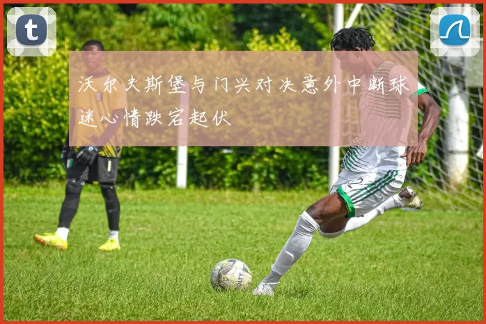 沃尔夫斯堡与门兴对决意外中断球迷心情跌宕起伏