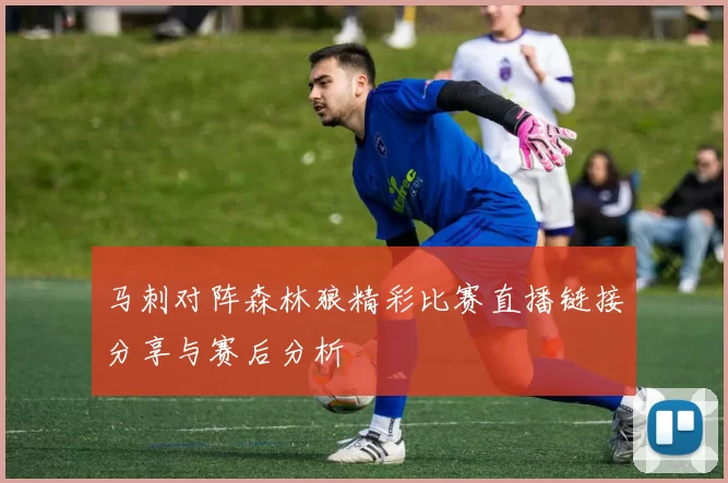 马刺对阵森林狼精彩比赛直播链接分享与赛后分析