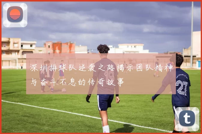 深圳排球队逆袭之路揭示团队精神与奋斗不息的传奇故事