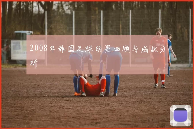 2008年韩国足球明星回顾与成就分析