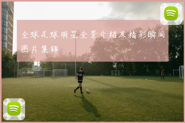 全球足球明星全景介绍及精彩瞬间图片集锦